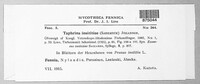 Taphrina pruni image